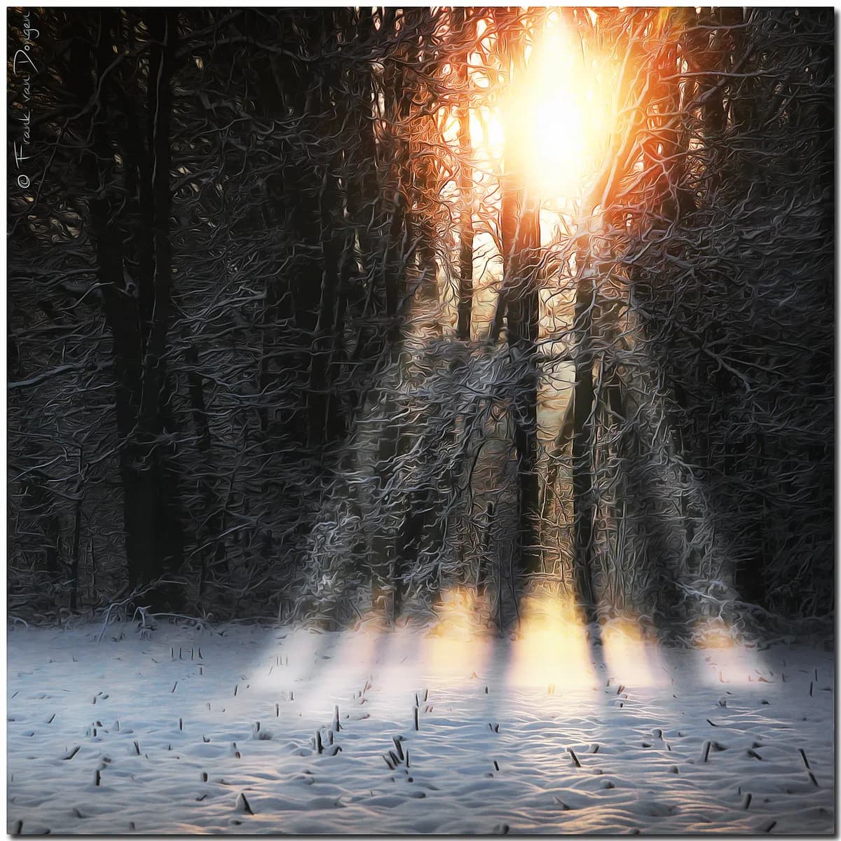 Meteorologisk vår anländer tidigt i Sverige i klimattrender