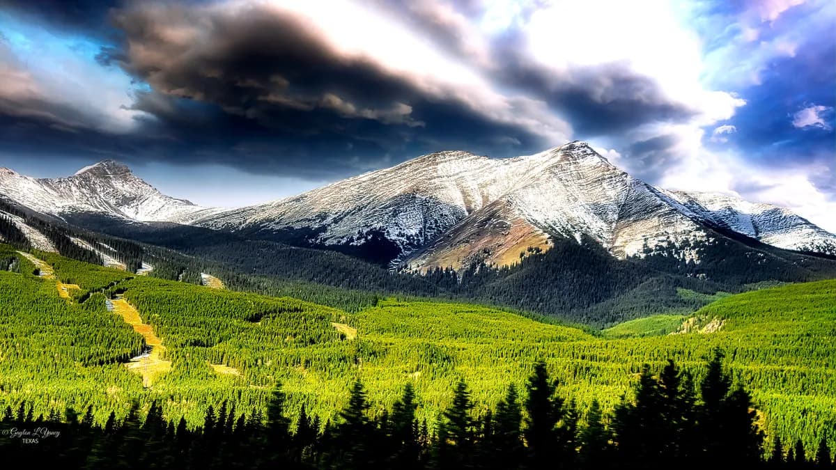 Nika Prevc wins 38th World Cup, sets new record