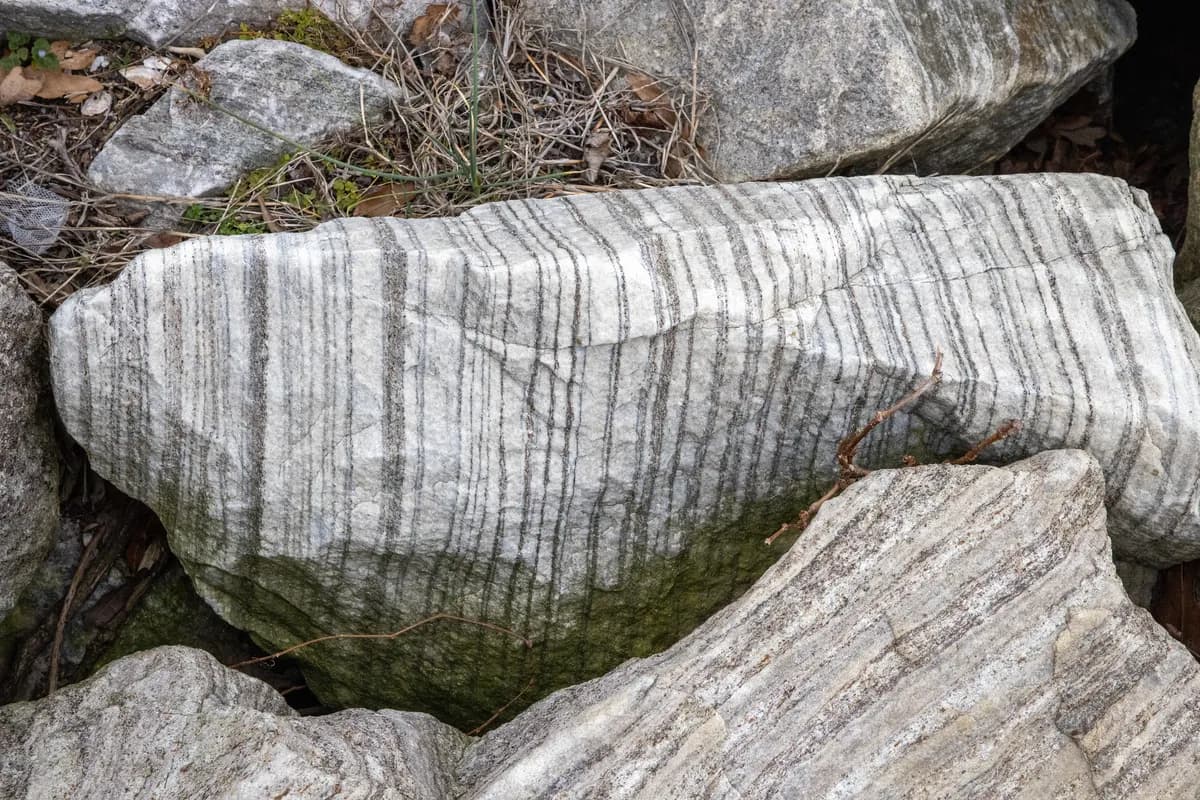 Studie avslöjar tolv apostlarnas tektoniska ursprung