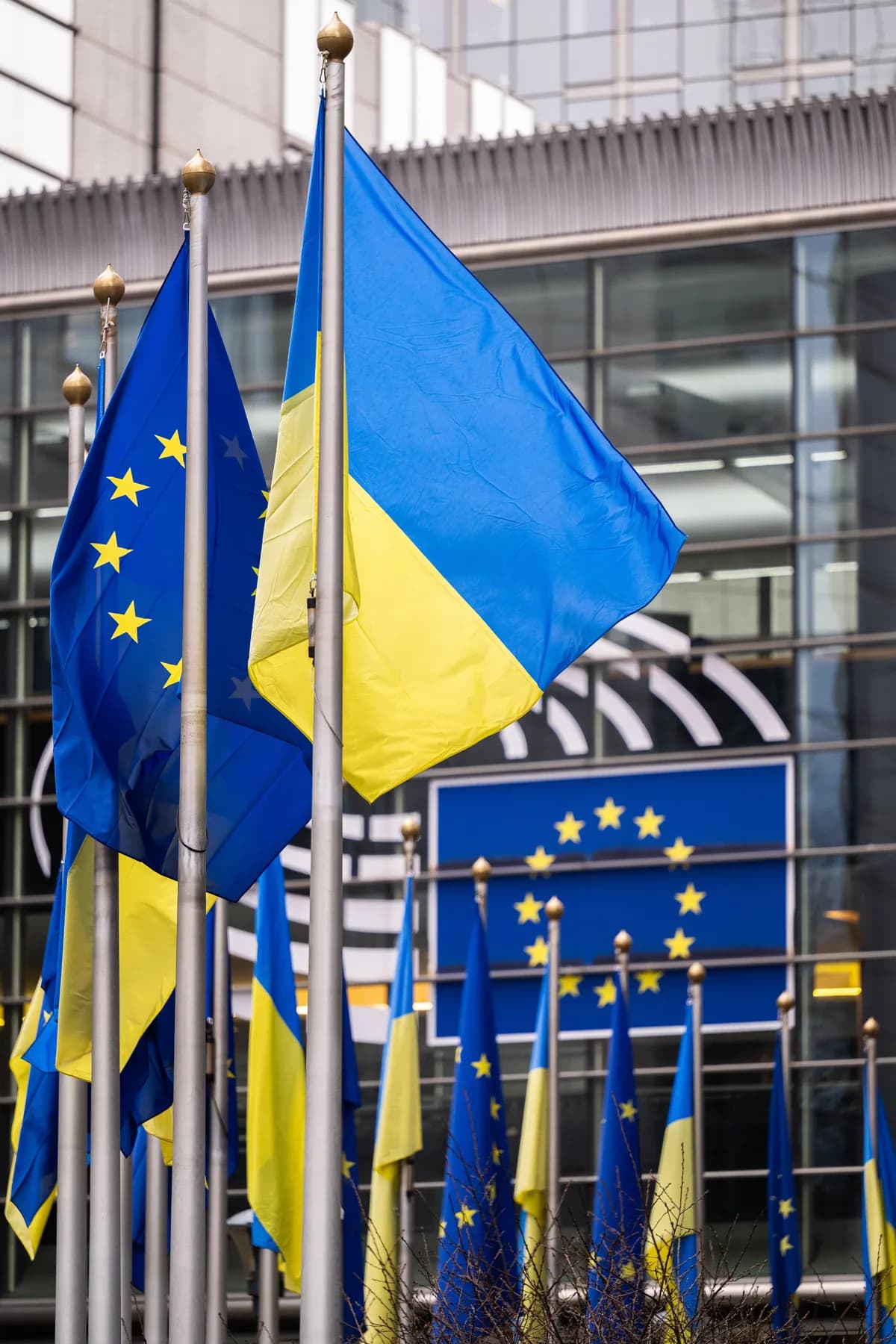 Anna Lebid prisas för att hjälpa ukrainare hitta jobb i Jämtland