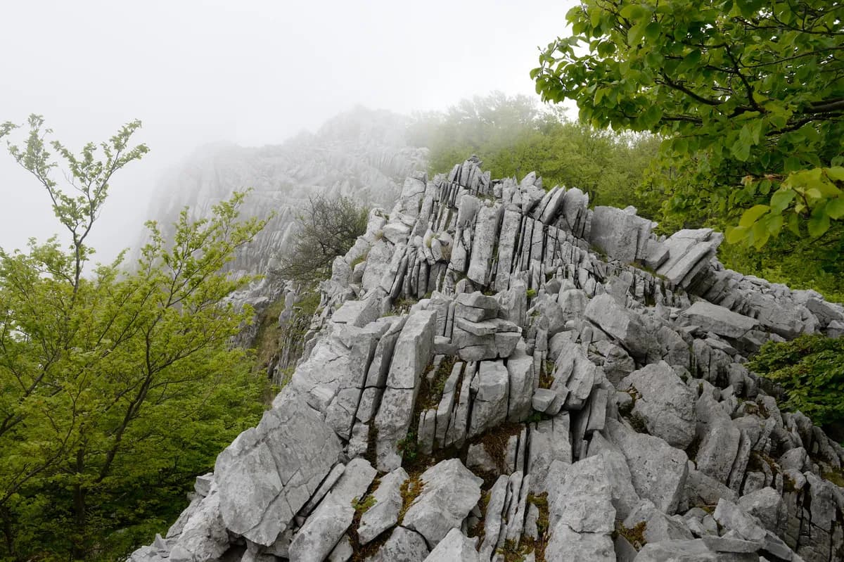 Stort rasbergningsarbete på E22 vid Ringarum orsakar trafikstörningar