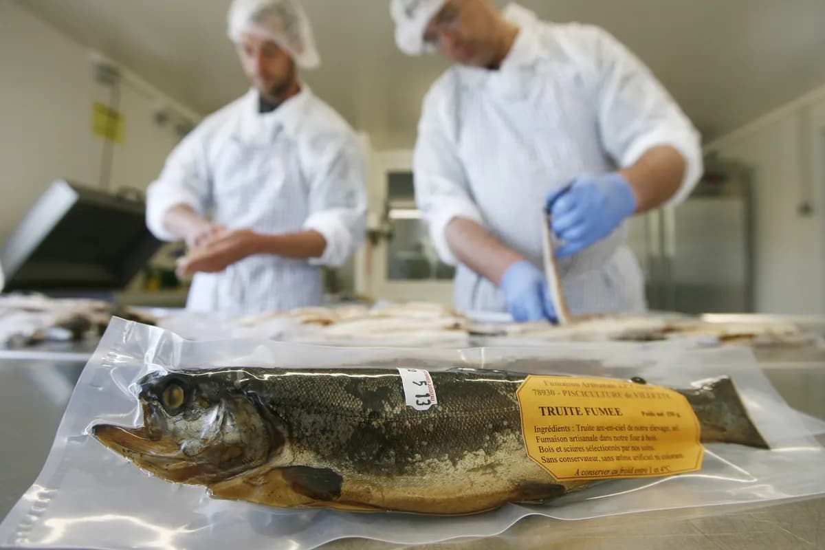 Multigen Gadus gets nod for enclosed sea cod farm