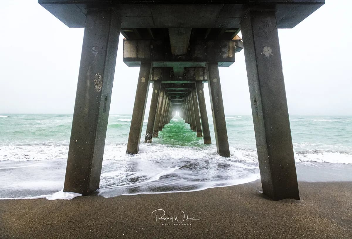 Brittisk torsk och scampi nedgraderas i hållbarhetsguide