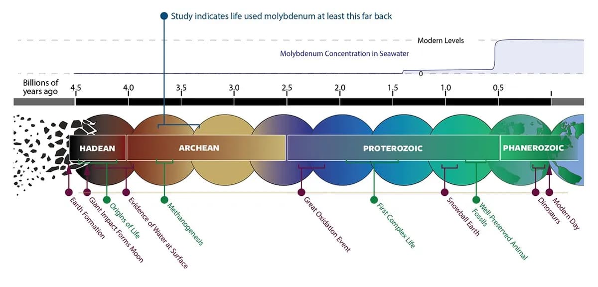 Ancient life used scarce molybdenum, study finds