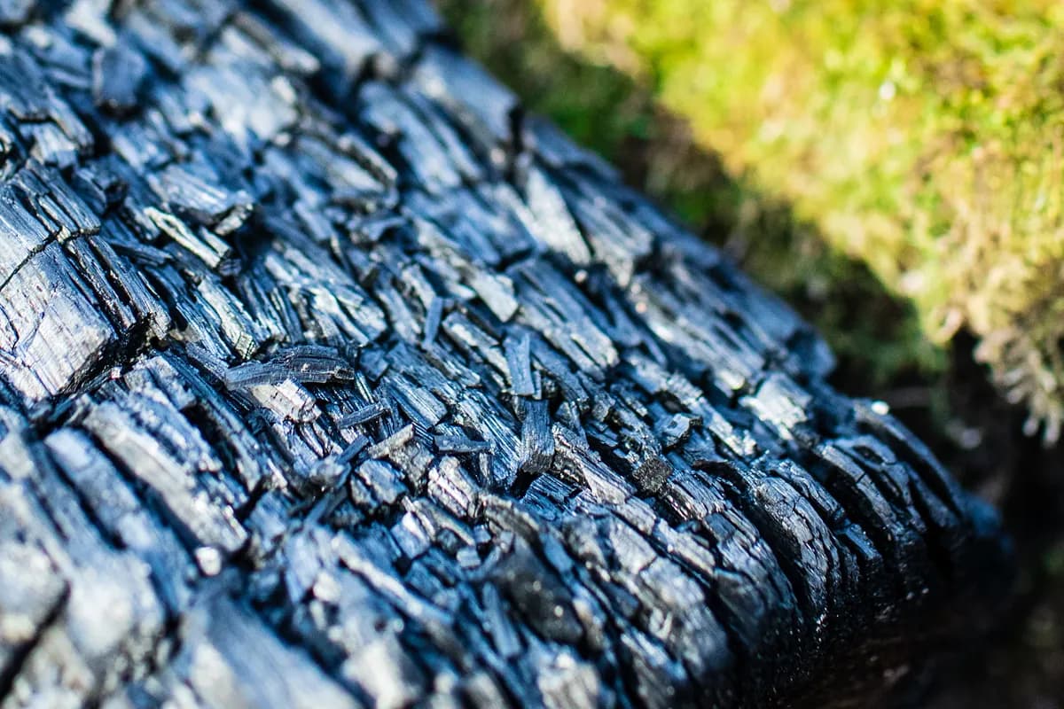 Norges bålförbud träder i kraft idag på grund av torra förhållanden