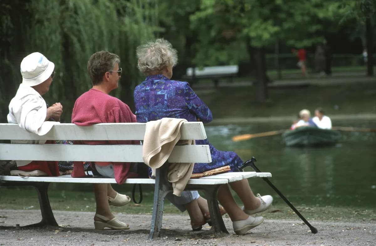 Exhibition explores ageing anxieties through art and Japanese tradition