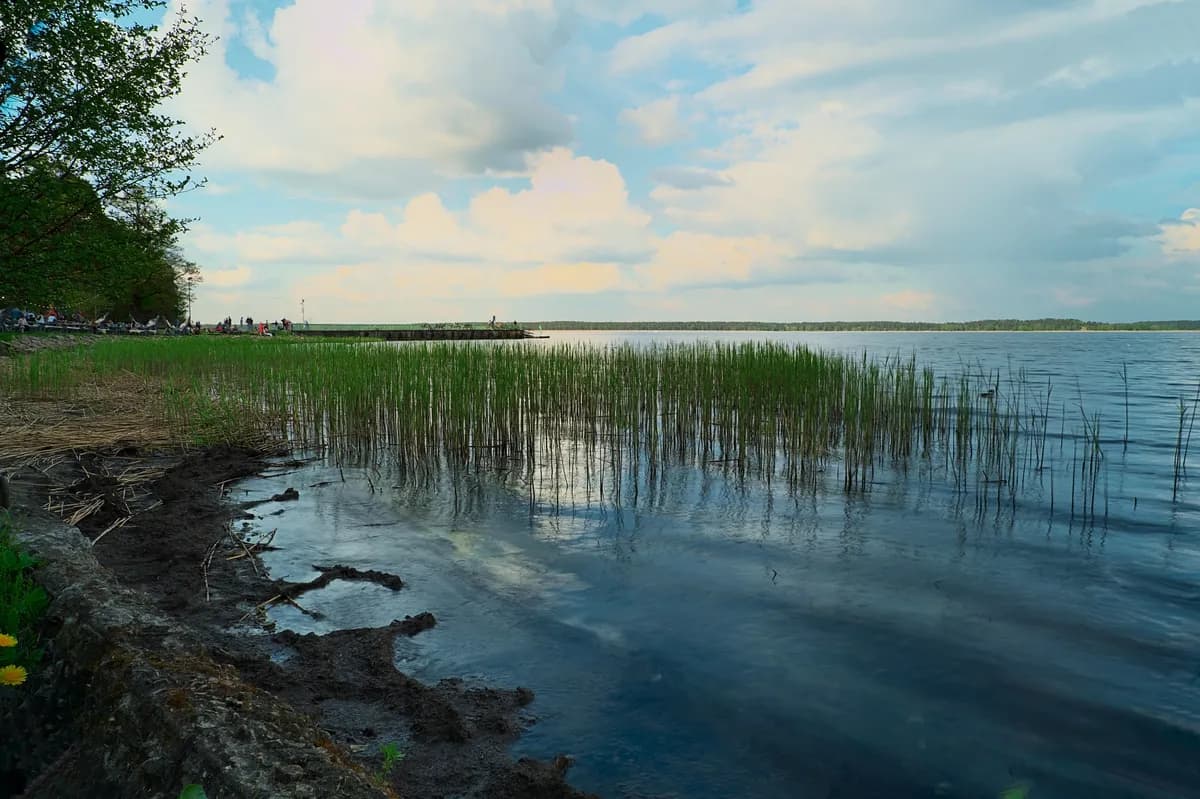 Isbrytning på Vänern signalerar vår och ekologisk förnyelse