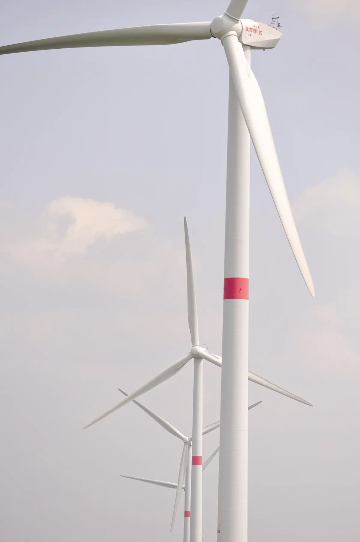 Klimatfrågor centrala för väljarna inför valet 2026