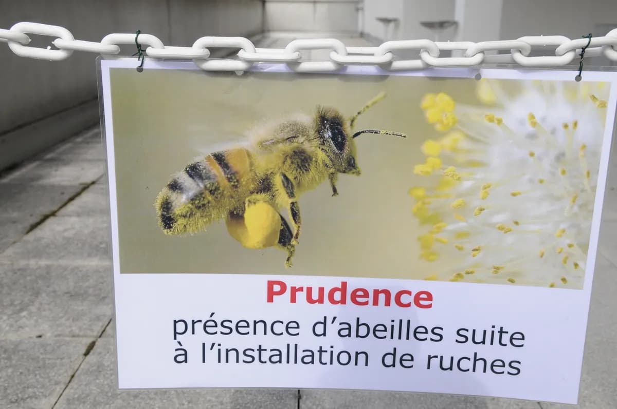 Melania Trump utökar Vita husets bikupa