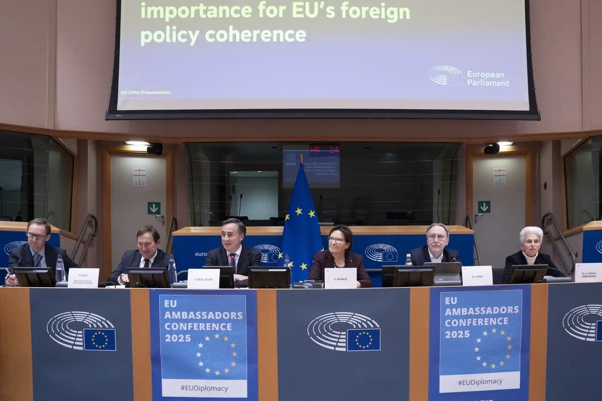 No 10 drev på för att göra Doyle till ambassadör, enligt tidigare tjänsteman