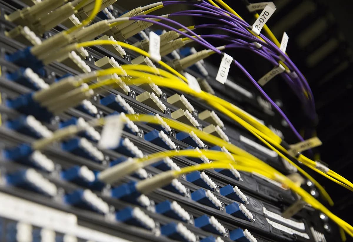 UK Biobank-data om 500 000 personer såldes på Alibaba