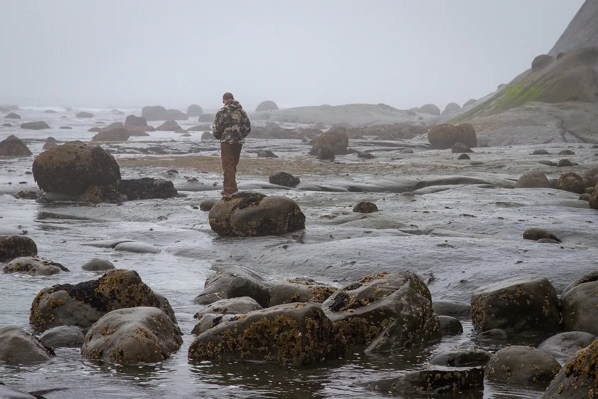 Skolflicka hittar uråldrigt ben på Suffolk-strand, möjligen mammut