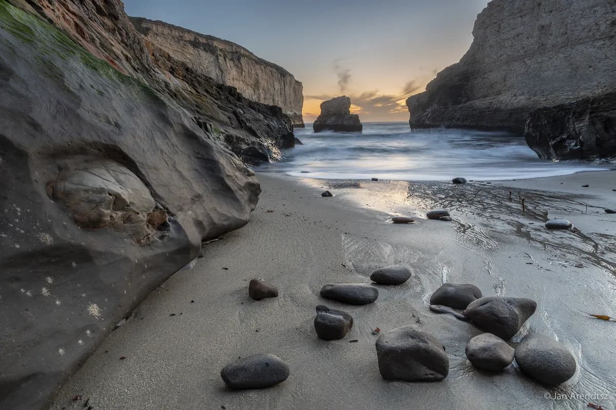 Hajar tvingar stängning av stränder efter valkadaver