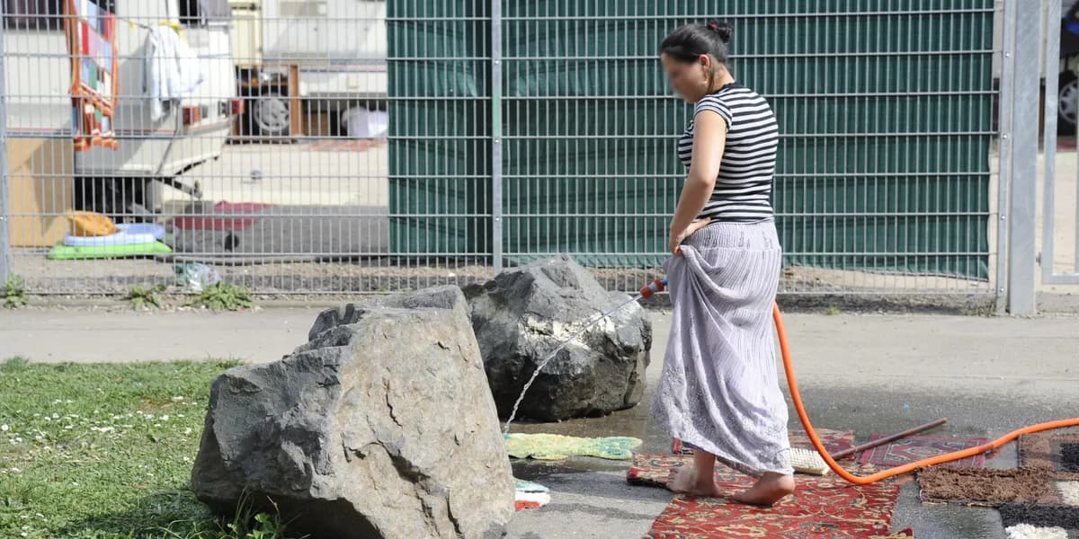 Internationella romdagen firas världen över, minnes 1971 års kongress