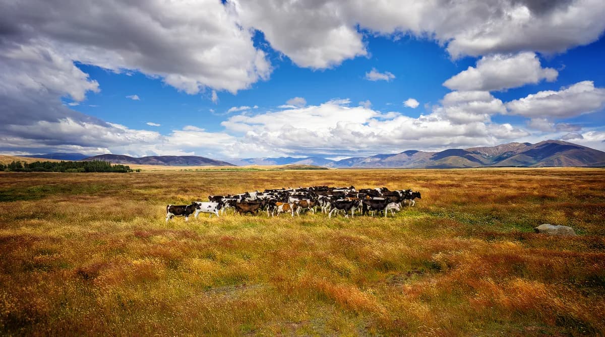 Regeringen avvisar överklagan om vägprojekt