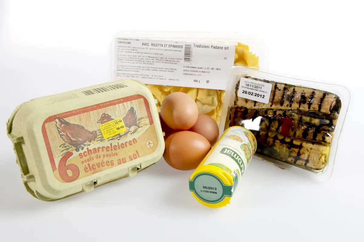 Global matkris har fördubblats sedan 2016, visar rapport