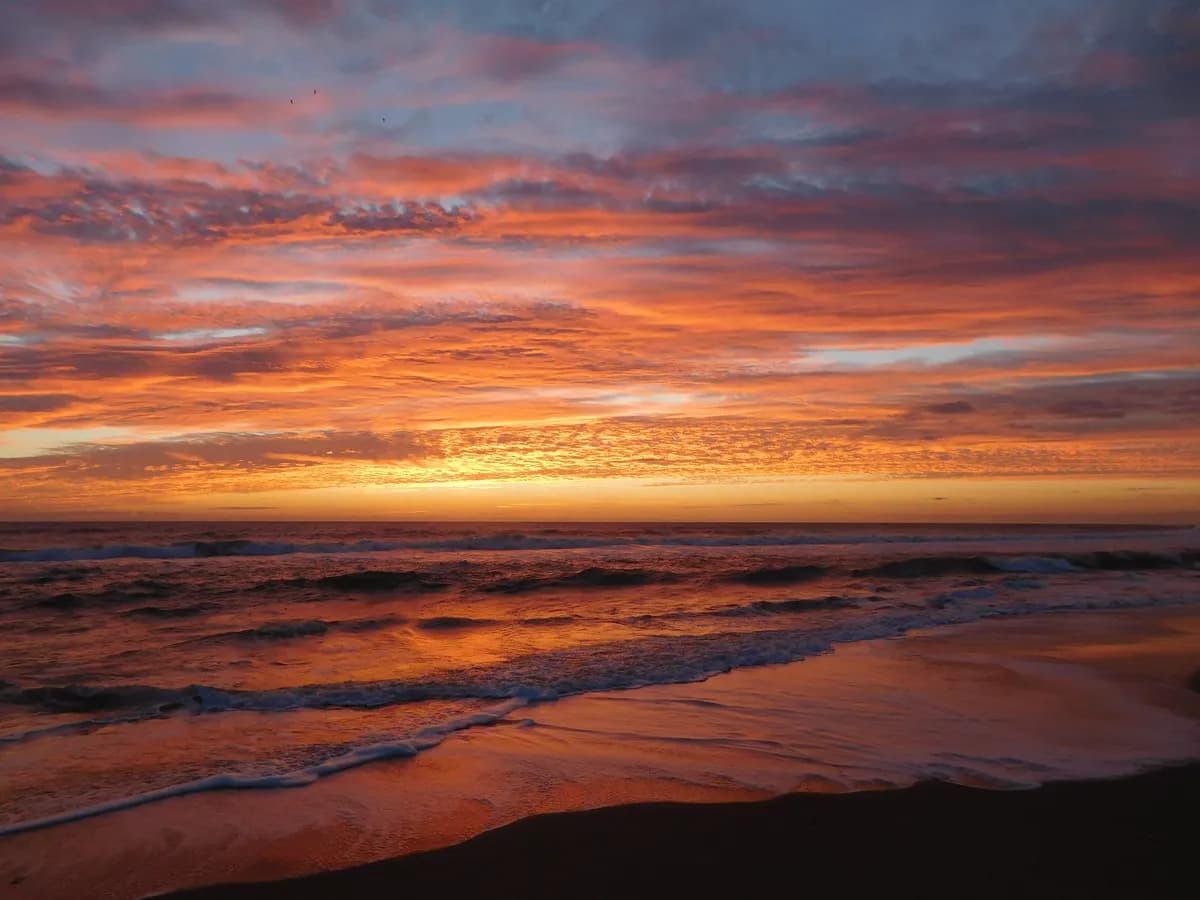 Svenskt beachvolleypar till semifinal i Brasilien