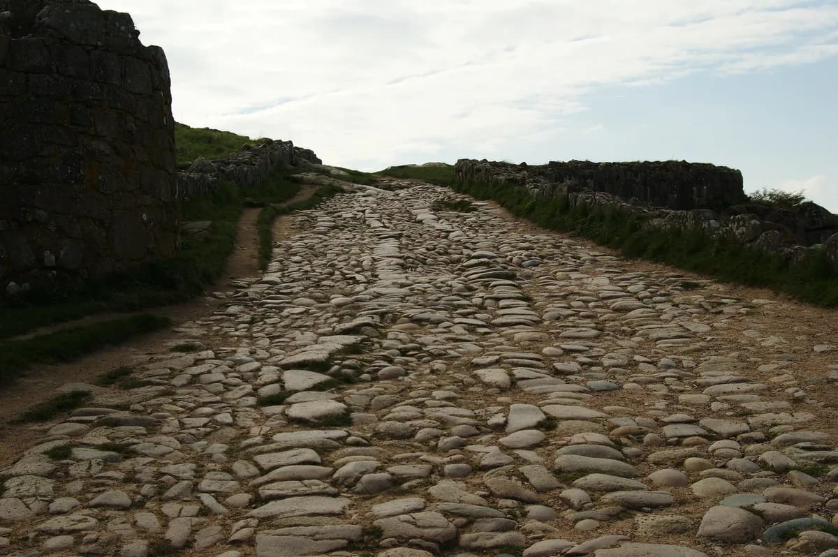 Sällsynt tidigmedeltida runring hittad i Lincolnshire av metalldetektorist