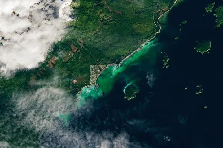 Satellit upptäcker tidig silllek i Barkley Sound, British Columbia