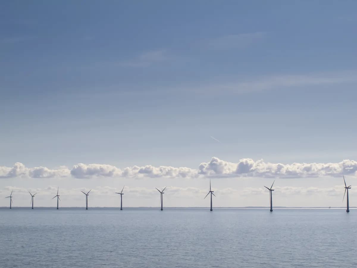Galene Offshore Wind Farm Project Pausat på Grund av Ekonomiska och Politiska Utmaningar