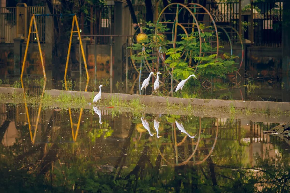Brunnsparken Renovation to Finish Next Year, Adding Playgrounds and Event Space