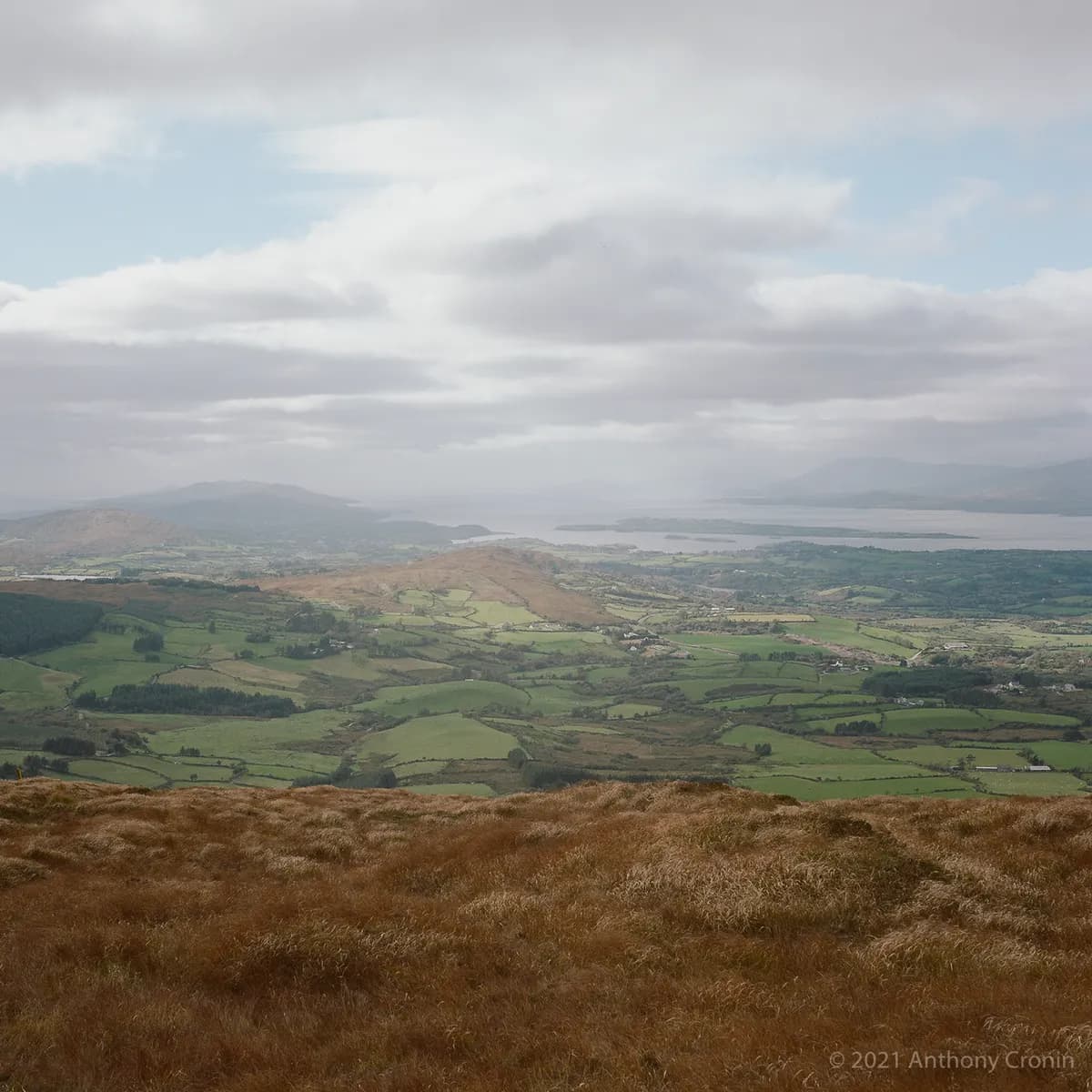 Sarah Ferguson's Disappearance Sparks Royal Mystery and Fallout