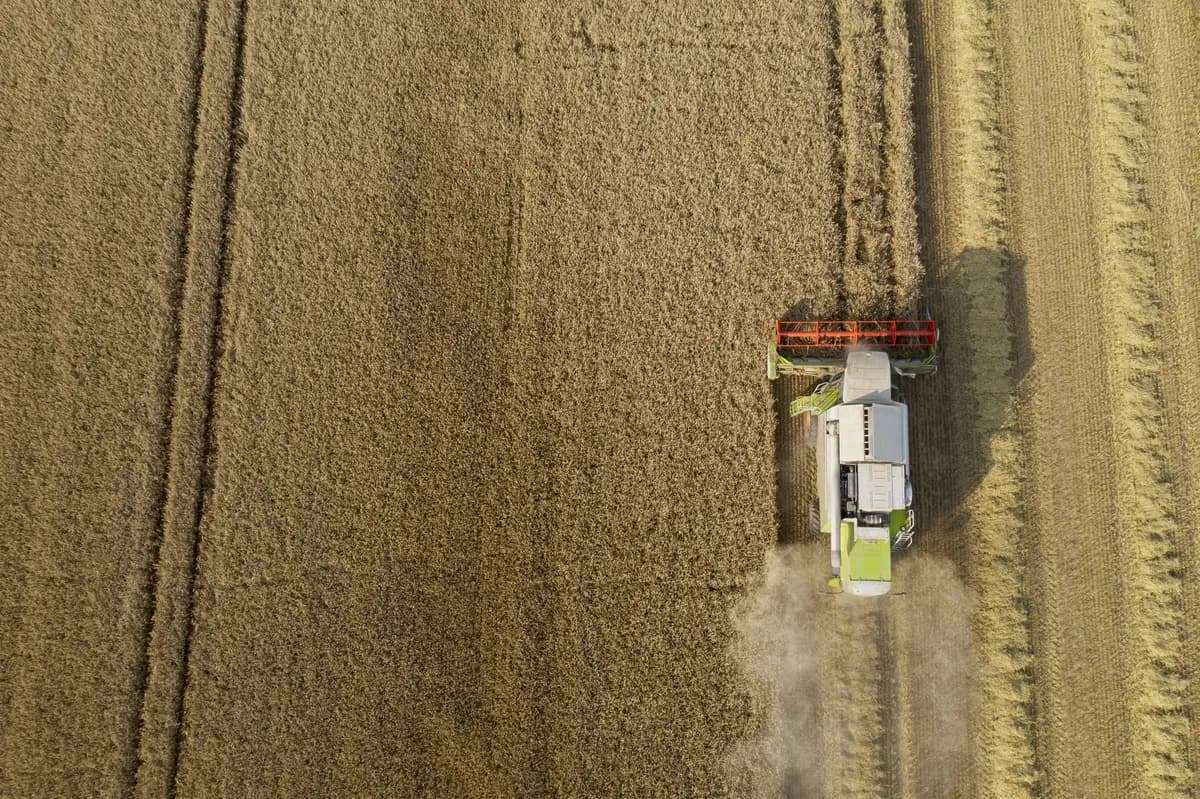 Svensk startup skördar träd med gigantiska drönare