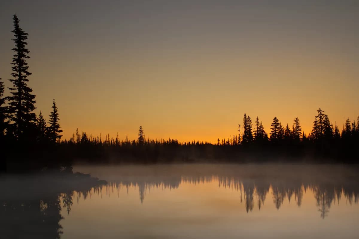 Adam Wilkie säger upp sig för ettårig simning för att hedra fadern
