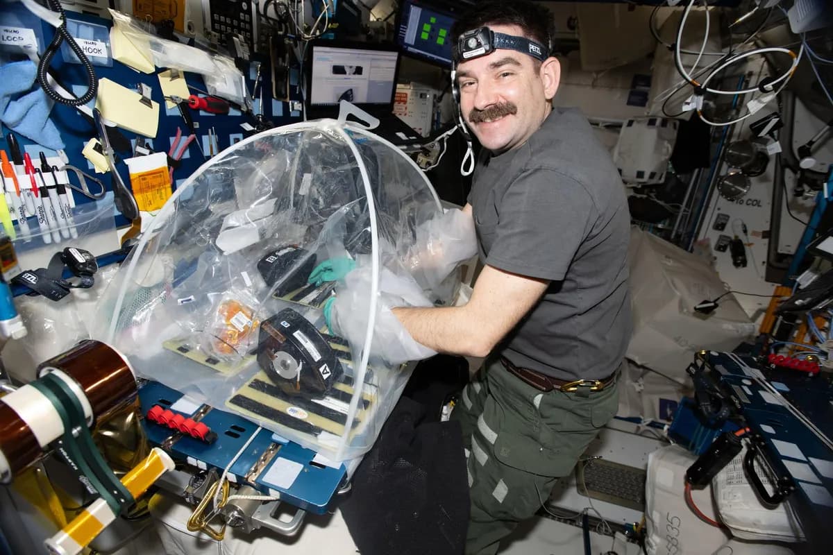Space station study links pneumonia to heart damage