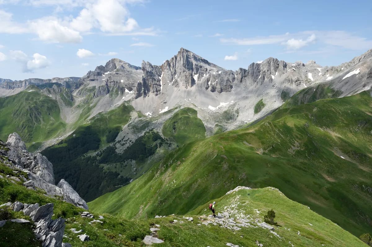 Genetiska upptäckter hjälper klimatutmanad fickmus