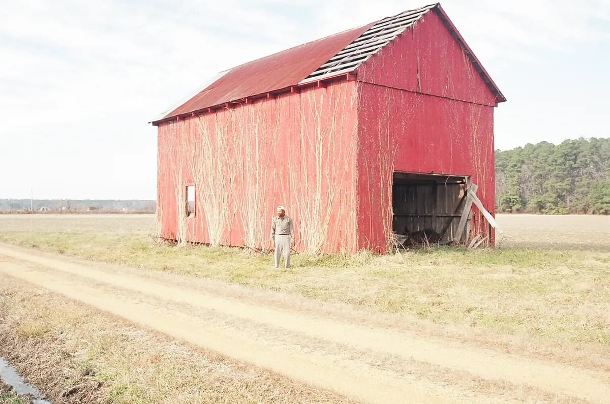 Storm Dave damages Johansson family barn in northern Sweden on Easter Sunday