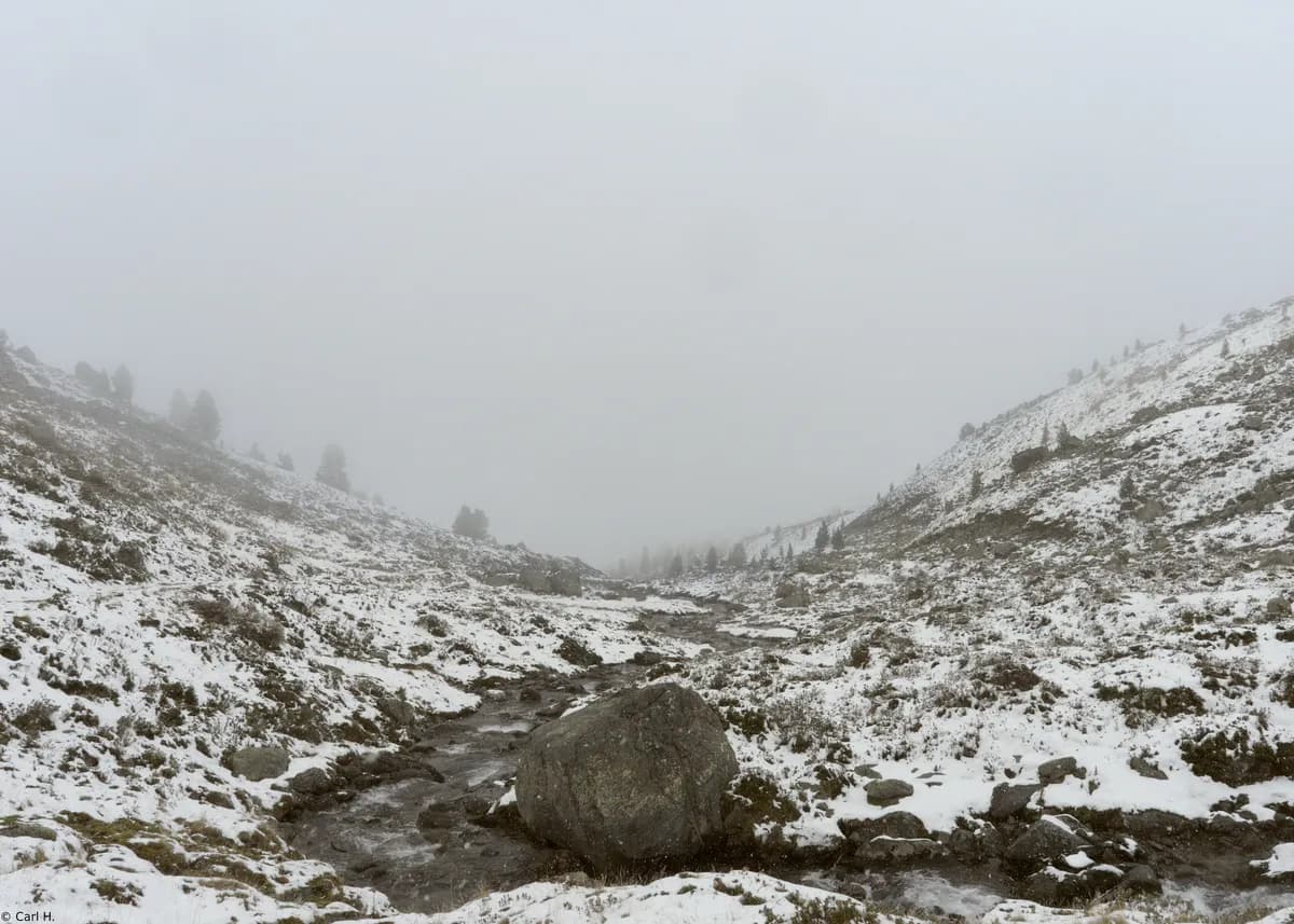 Private Jet Crashes in Maine Snowstorm, Killing All Six On Board