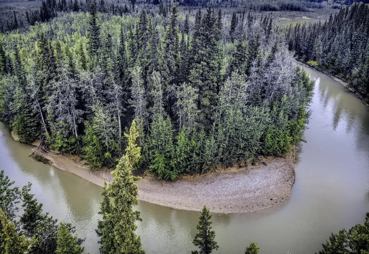 Alaska-by vill återuppliva isbjörnsturism