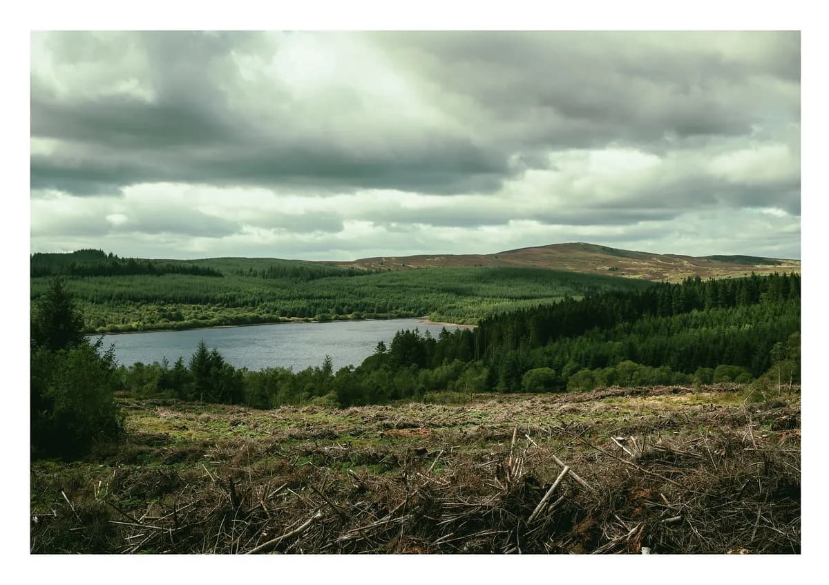 Paddöd befaras efter att reservoar tömts