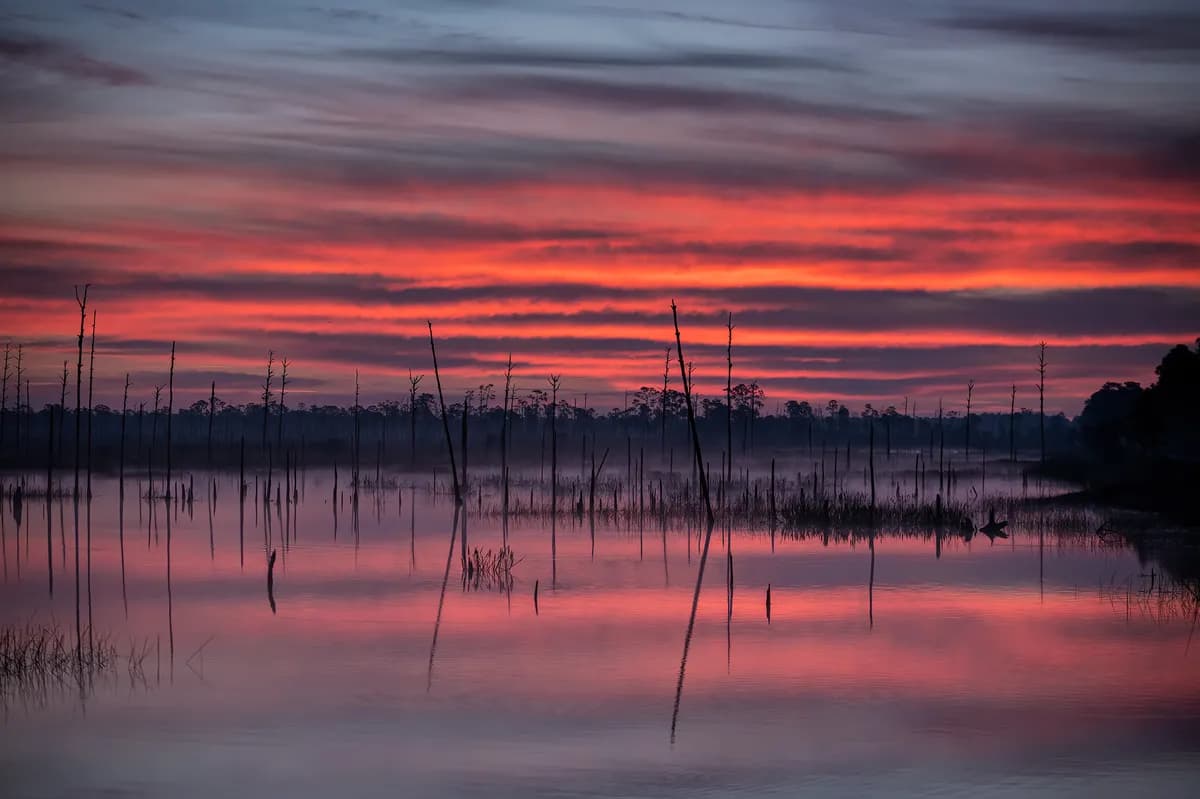 Tjernobyl fortfarande förorenat 39 år efter katastrofen