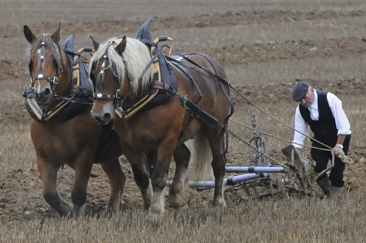 TV4:s realityserie 'Hela vägen' följer travprofiler