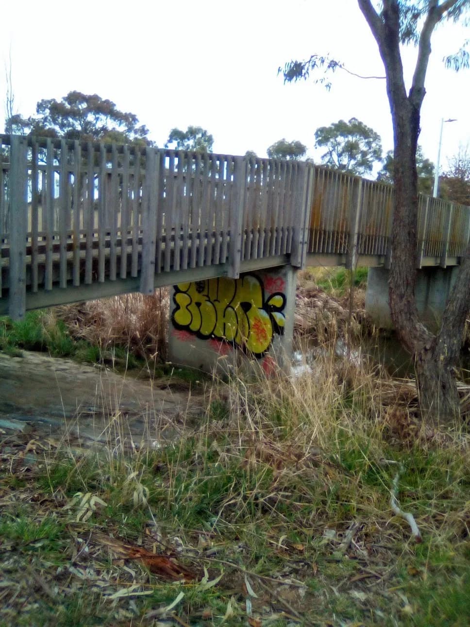 Illegal traveller site built over bank holiday in Essex