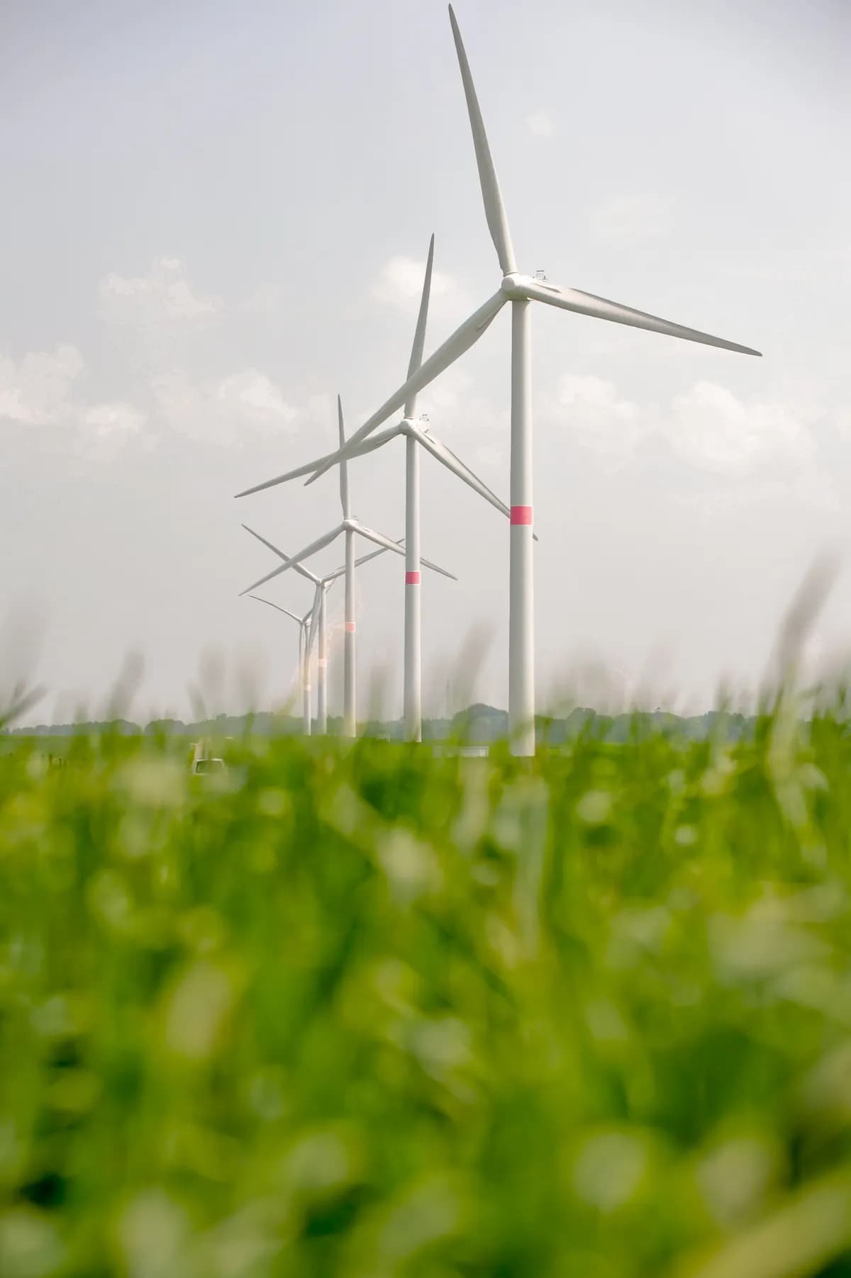 Swedish wind power association faces 700% grid fee hike after subsidy removal