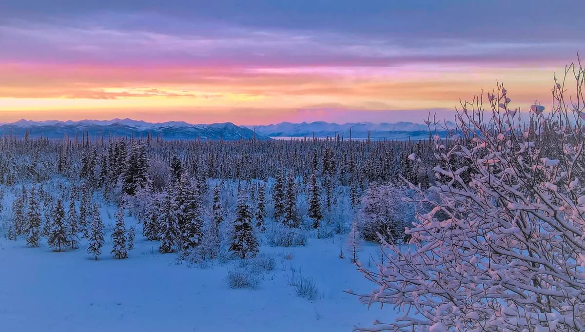Kjell Inge Røkke vinner Iditarod-expeditionsklassen