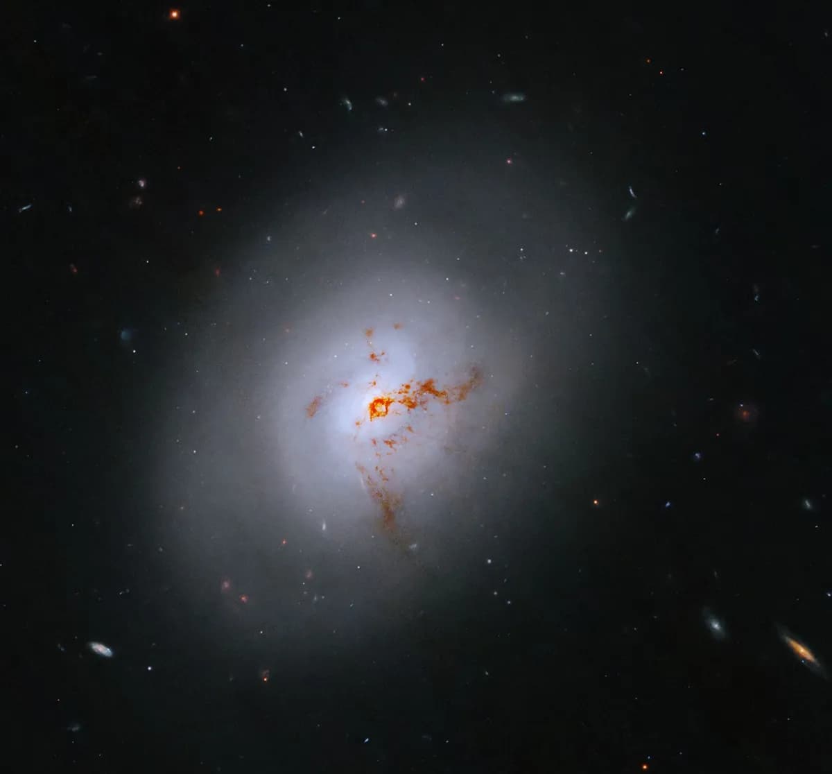 Rare post-starburst galaxy NGC 1266 studied by astronomers