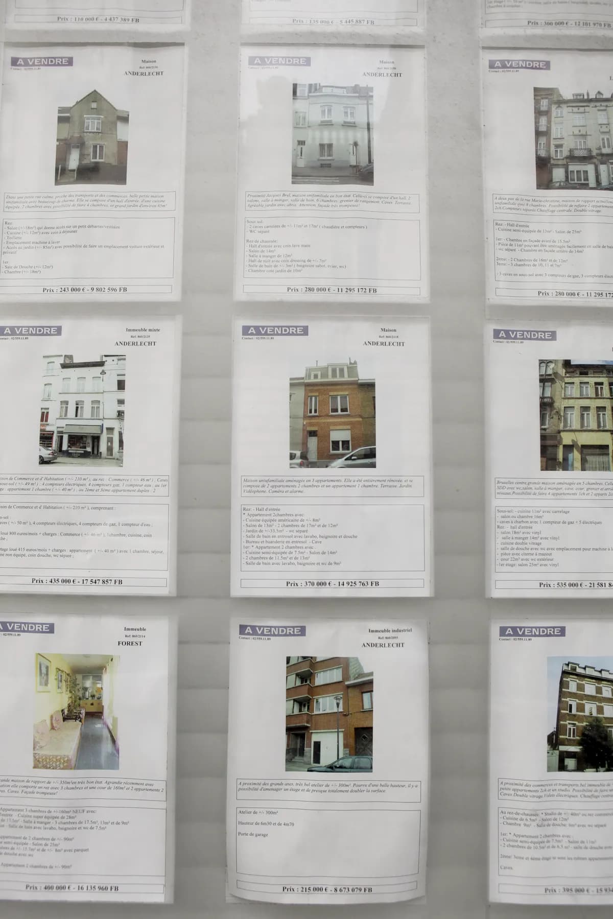 Chelsea-bor kallar bostadsområde 'råttstaden' efter 11-årig invasion