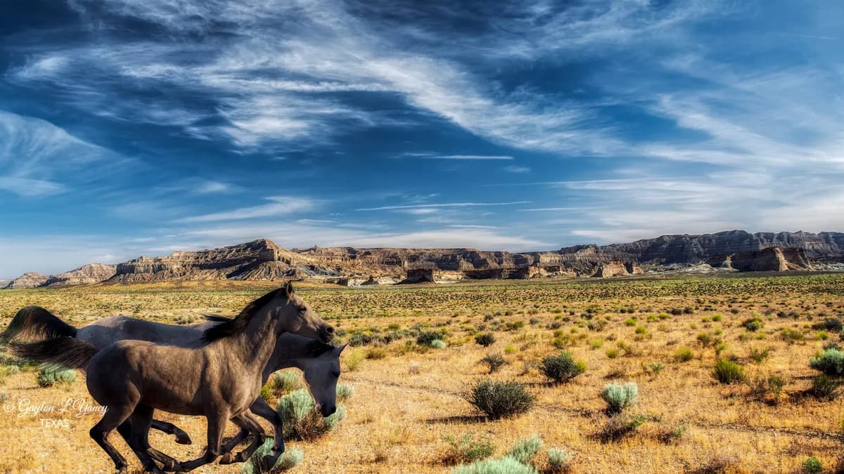 London Marathon kan flyttas till tidigare datum på grund av värme