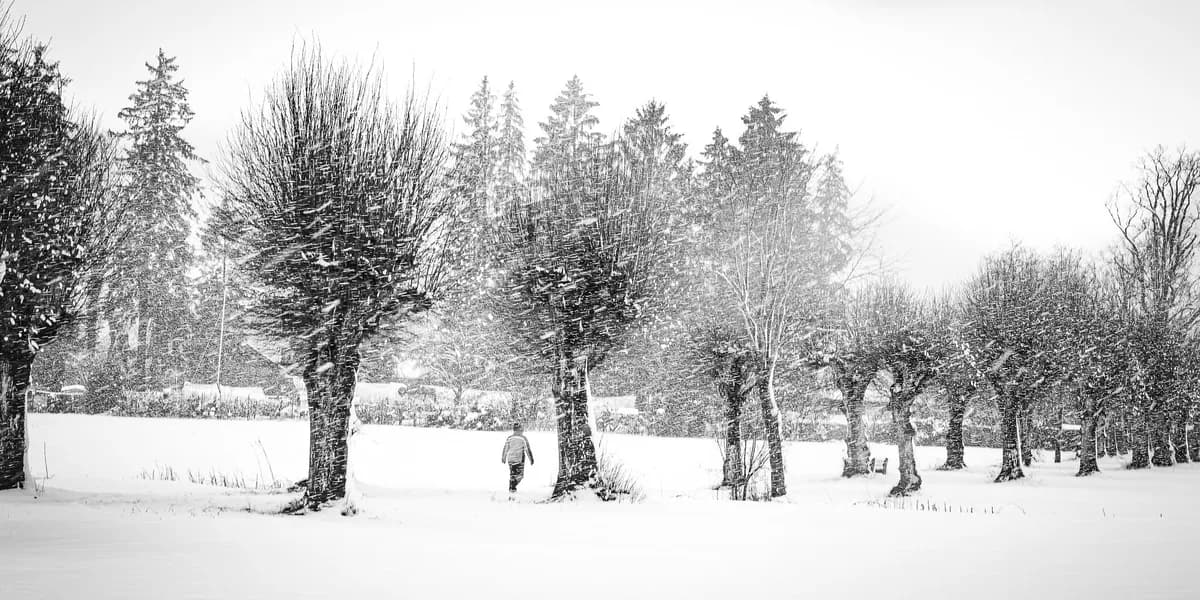 Alpine Divorce-trend kopplas till dödsfall på vandring