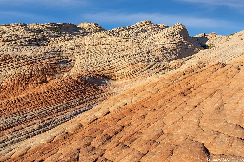 Brazil's termite mounds cover area size of Great Britain, scientists reveal