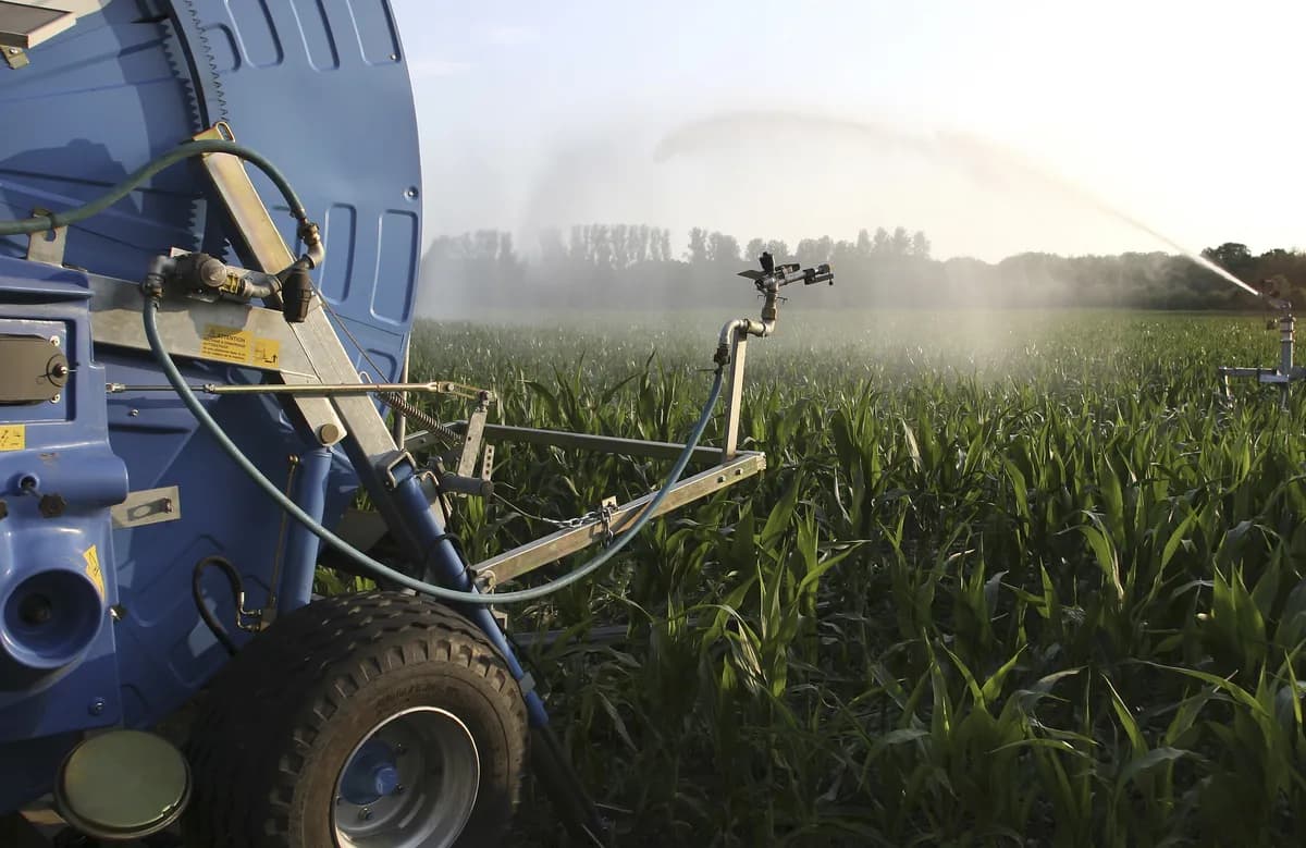 Sweden's irrigation needs may double by 2100 due to climate change