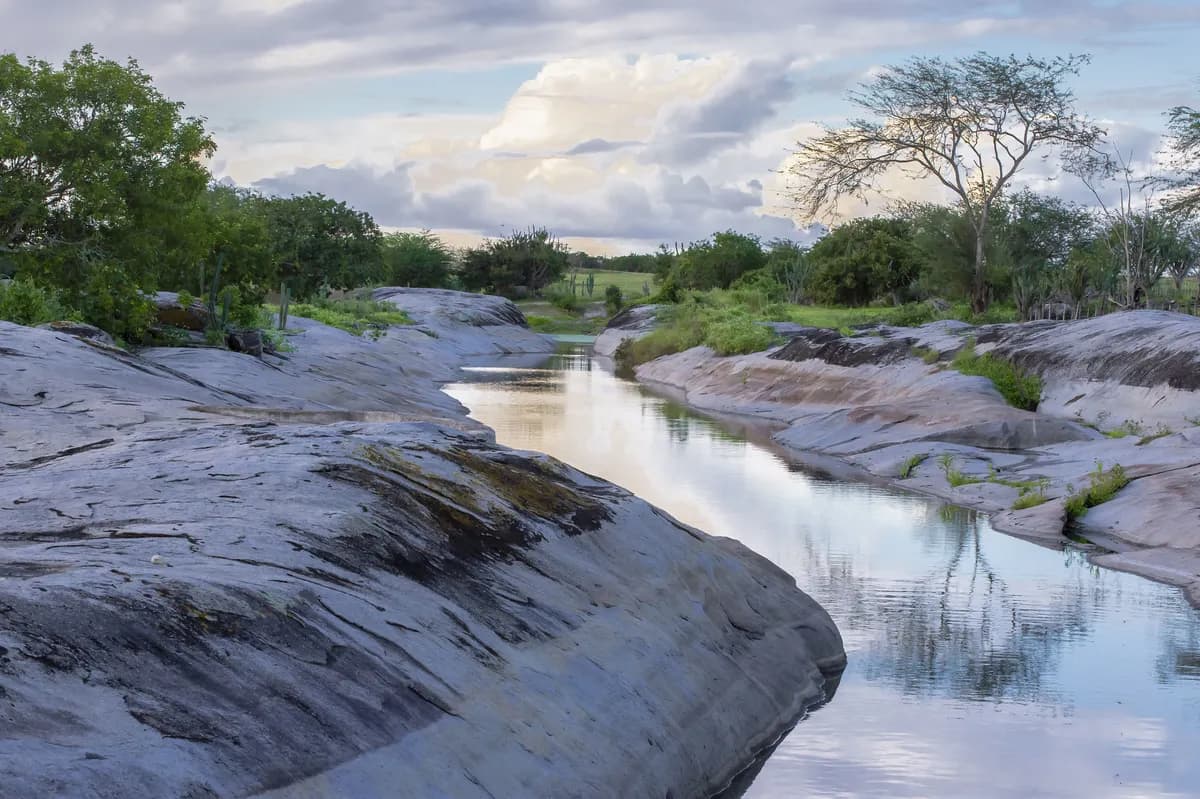 Rekordlåga vattennivåer i Mörrumsån hotar fiskbeståndet
