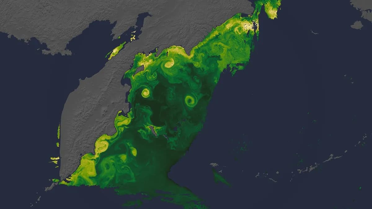 NASA släpper jordbilder från Artemis II-månmissionen