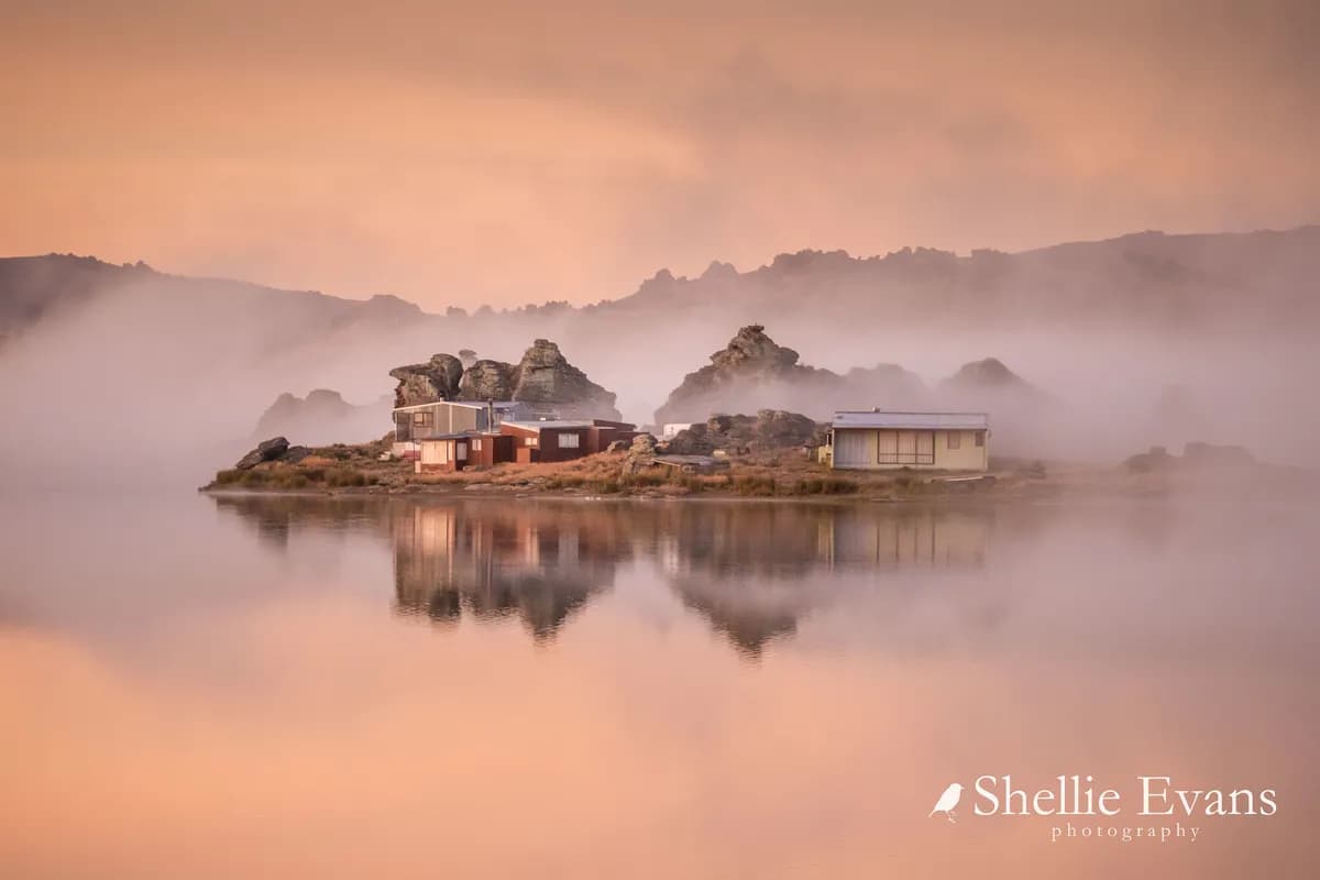 Sportfiskarna använder ekologiska julgranar som fiskhabitat