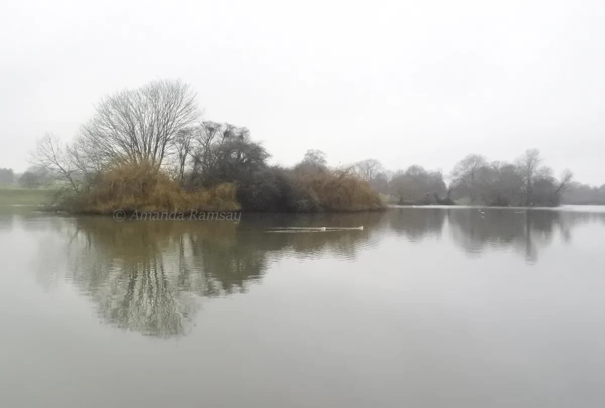 Adrian Edmondson reflekterar över dödligheten efter fågelskådning i Norfolk