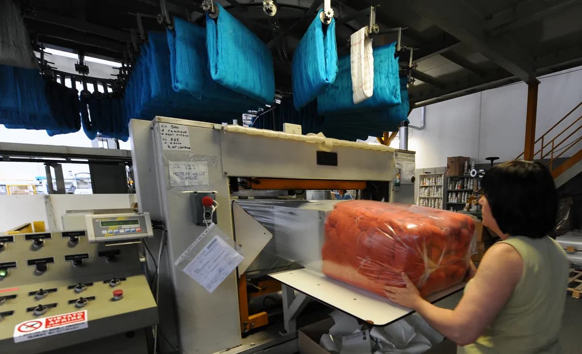 Lena Johanssons Rotsaker utforskar livet vid Haldafabriken